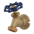Eastman 20223 3/4 in. FIP Brass Sillcock Hose End Valve
