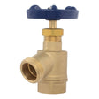 Eastman 20253 3/4 in FIP Brass Bent Nose Garden Valve for Irrigation