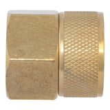 Eastman 20363 3/4 in. FHT x 3/4 in. FIP Brass Swivel Hose Connector - 2
