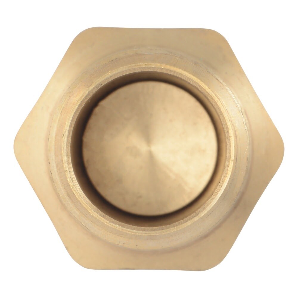 Eastman 20400 1/2 in. MIP x 1/2 in. MIP Brass In-Line Check Valve - 2