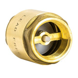 Eastman 20405LF 1 in IPS Lead Free Brass In-Line Check Valve for Backflow Prevention - 3