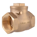 Eastman 20431LF 2 in Brass IPS x IPS Swing Check Valve Lead Free