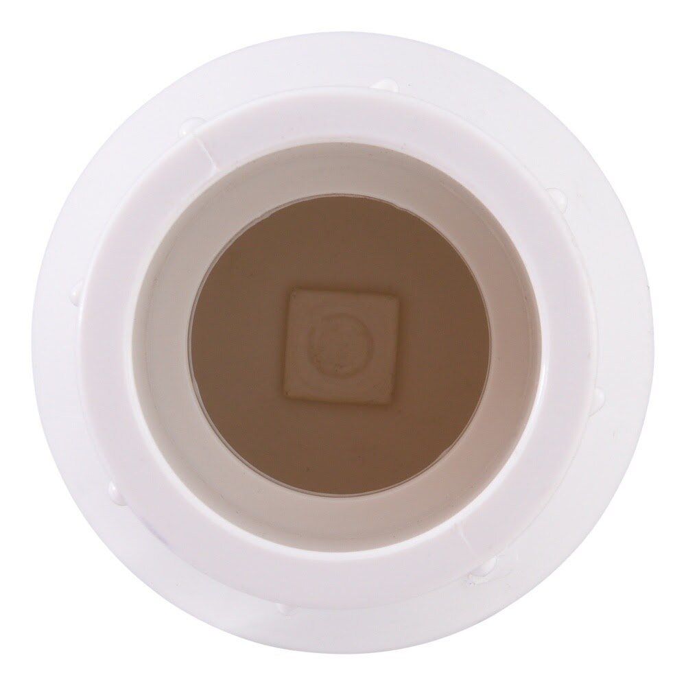 Eastman 20454N 1 in. Slip x Slip PVC Schedule 40 In-Line Check Valve - 3