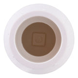 Eastman 20454N 1 in. Slip x Slip PVC Schedule 40 In-Line Check Valve - 3