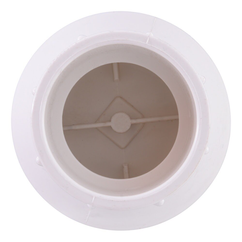 Eastman 20457N 2 in. Slip x Slip PVC Schedule 40 In-Line Check Valve - 3
