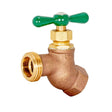 Eastman 48624 Half Inch FIP Heavy Pattern Female No-Kink Hose Bibb