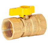 Eastman 60013 1 in FIP x 1 in FIP Straight Brass Gas Ball Valve with Lever Handle