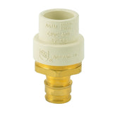 Eastman 86117 1/2 in Slip x 1/2 in F1960 PEX CPVC Brass Transition Adapter