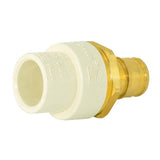 Eastman 86117 1/2 in Slip x 1/2 in F1960 PEX CPVC Brass Transition Adapter - 2
