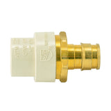 Eastman 86117 1/2 in Slip x 1/2 in F1960 PEX CPVC Brass Transition Adapter - 3