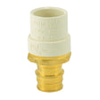 Eastman 86118 3/4 in. Slip x 3/4 in. F1960 PEX CPVC x Brass Transition Adapter
