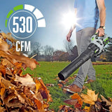 EGO ST1503LB 530CFM Blower&15" string trimmer combo kit (2P 4Ah battery, 210W charger) - 11