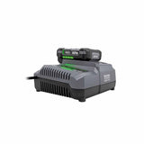 Flex FX0421-Z 280W Rapid Charger - 6