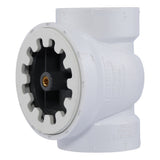 HoldRite TRPVC2A-B 2 in. PVC DWV Test Cleanout Tee with Spanner Ring and Brass Insert Plug