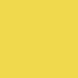 Rust-Oleum 2544838 15 oz Professional Inverted Marking Spray Paint High-Visibility Yellow - 2