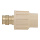 SharkBite UAB916LF 1/2 in. PEX-A Brass Expansion x 1/2 in. CPVC Adapter - 3