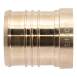 SharkBite UC0454 2 in. Lead Free Brass Barb Plug for PEX and PE RT Pipe - 2