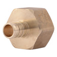 SharkBite UC068LF 1/2 in. x 3/4 in. Lead Free Brass Barb Female NPT Adapter for PEX Pipe