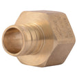 SharkBite UC088LF 3/4 in. x 3/4 in. Brass PEX Barb x FNPT Female Adapter