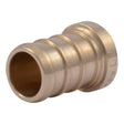 SharkBite UC514LF 1/2 in. Brass Barb Plug for PEX and PE-RT Pipe