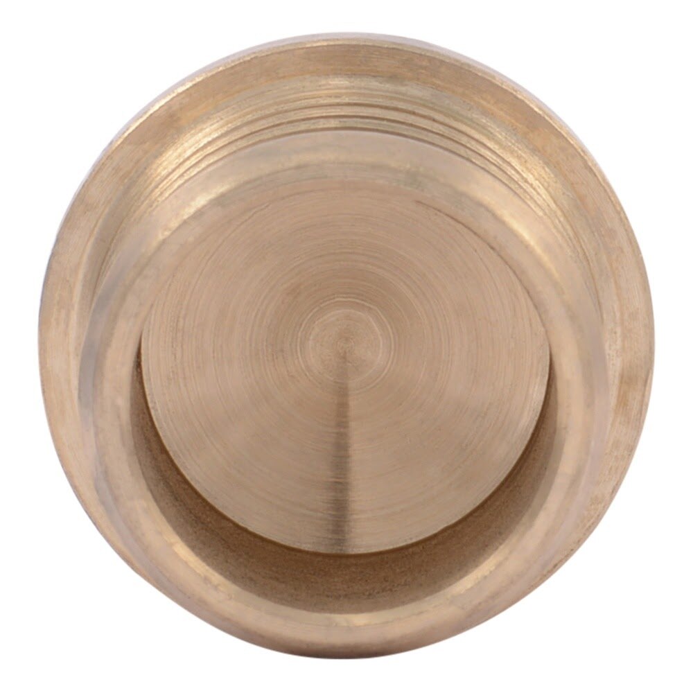 SharkBite UC518LF 3/4 in. Lead Free Brass Barb PEX Crimp Plug - 3