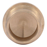 SharkBite UC518LF 3/4 in. Lead Free Brass Barb PEX Crimp Plug - 3