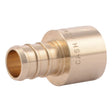 SharkBite UC600LF 1/2 in x 1/2 in Brass Barb Female Sweat Adapter for PEX to Copper