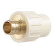 SharkBite UC922LFA 3/4 in. Brass PEX Barb x 3/4 in. CPVC Socket Adapter Fitting