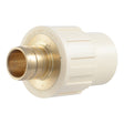 SharkBite UC922LFA 3/4 in. Brass PEX Barb x 3/4 in. CPVC Socket Adapter Fitting