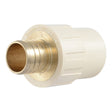 SharkBite UC928LFA 1 in Brass PEX Barb to 1 in CPVC Socket Adapter