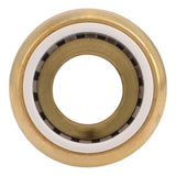 SharkBite UIP120A 1/2 in. PVC x 1/2 in. MNPT Push-to-Connect Male Adapter - 3