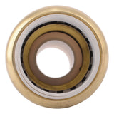 SharkBite UIP4016A 3/4 in. CTS x 3/4 in. PVC Push-to-Connect Transition Coupling - 3