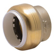 SharkBite UIP520A 1 in Push-to-Connect PVC Cap for Schedule 40 80 and 120 PVC Pipe