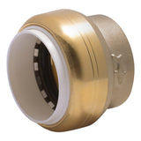 SharkBite UIP520A 1 in Push-to-Connect PVC Cap for Schedule 40 80 and 120 PVC Pipe