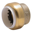 SharkBite UIP520A 1 in Push-to-Connect PVC Cap for Schedule 40 80 and 120 PVC Pipe