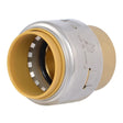 SharkBite UR520A 1 in Push to Connect Brass End Stop Fitting