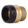 SharkBite UXL0435 1-1/4 in. Push-to-Connect Lead Free End Cap