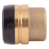 SharkBite UXL0441 1-1/2 in. Push-to-Connect End Cap for PEX Copper and CPVC Pipe - 2