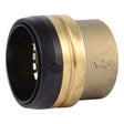 SharkBite UXL0454 2 in. Push-to-Connect End Cap for PEX Copper CPVC and HDPE Pipe