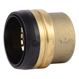 SharkBite UXL0454 2 in. Push-to-Connect End Cap for PEX Copper CPVC and HDPE Pipe
