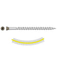 Simpson Strong-Tie DTH212S305BR05 (#7 x 2") Trim-Head Collated Screw, Sharp Point, Type 305, Brown 05 (25 Pack)