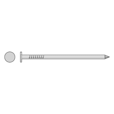 Simpson Strong-Tie S16SCNB (3-1/2" x 25#) 8 Gauge Spiral Common Nail - Type 304