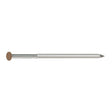 Simpson Strong-Tie S8SNDS5 (2-1/2 in. x .092 in.) 14Ga Stainless Steel Painted Siding Nail - Sienna (5 lb.)