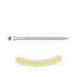 Simpson Strong-Tie SSDTH212S (#7 x 3" #2 Square) Trim-Head Screw Sharp Point Collated - Type 305 (1000 Pack)