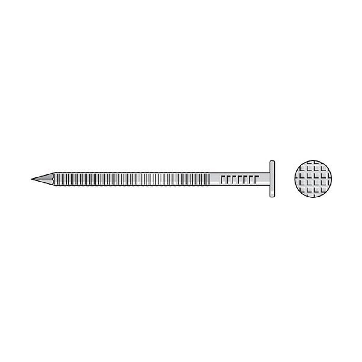 Simpson Strong-Tie S8SNDTB (2-1/2" x .092") 14Ga Stainless Steel Painted Siding Nail - Tan (25 lb.)