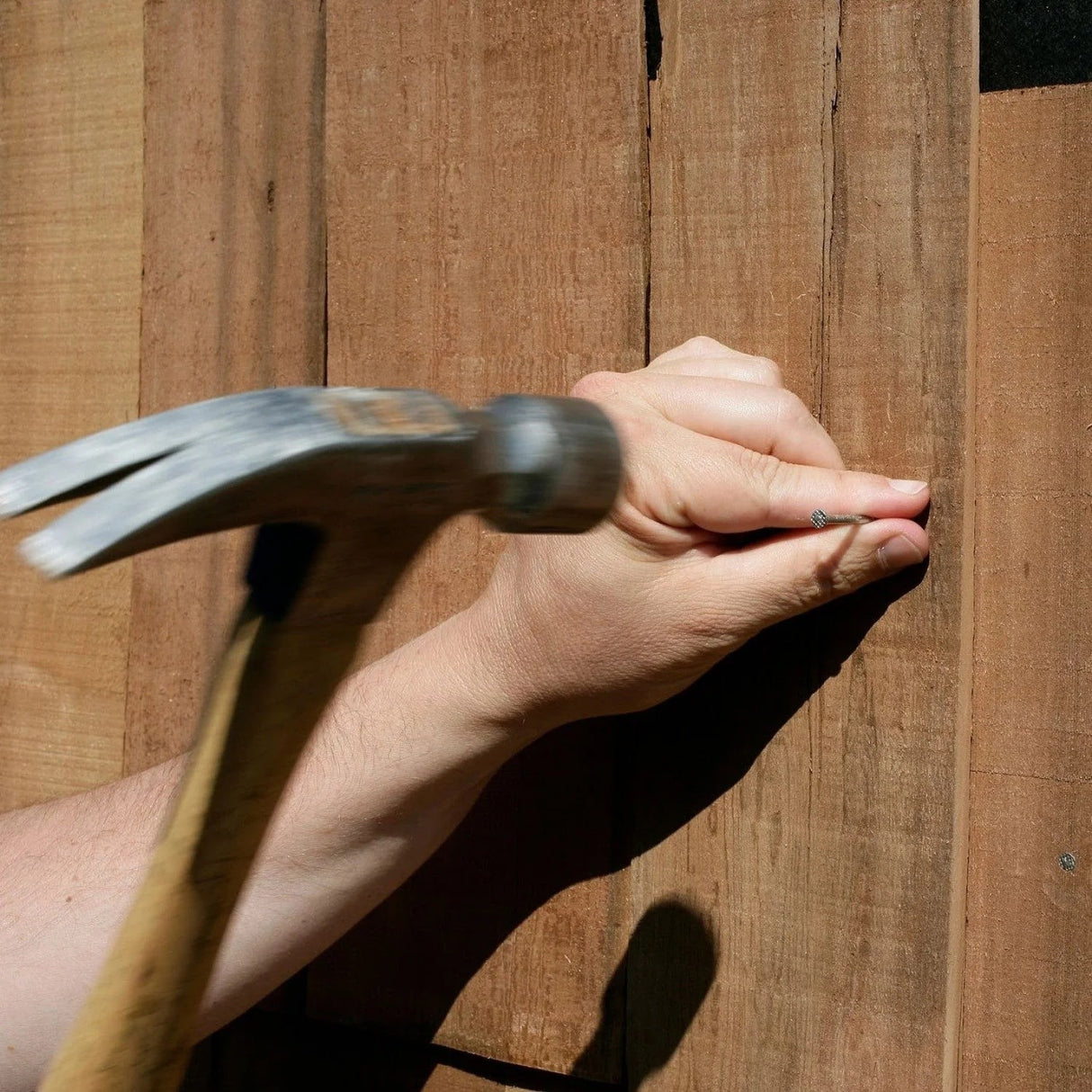 Simpson Strong-Tie T16SNDB (3-1/2" x .120") Wood Siding Nail Type 316 Stainless Steel (25 lb. Tub) - 3