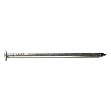Simpson Strong-Tie T2CN1 (2d 1") 15Ga Smooth Shank Stainless Steel Common Nail (1 lb.)