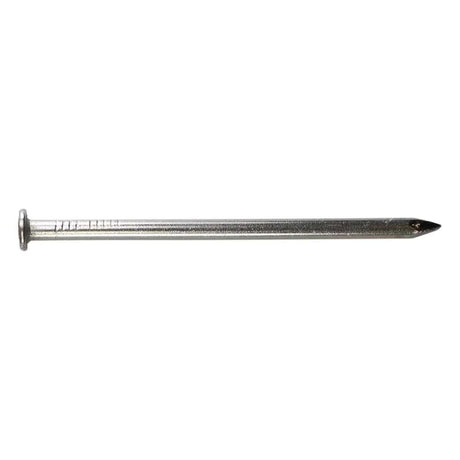 Simpson Strong-Tie T16CNB (3-1/2") 8 Gauge Smooth Shank Common Nail - Type 316 (25 lb)