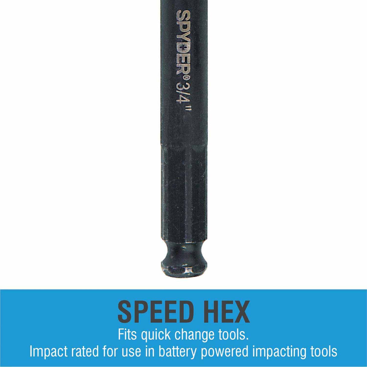 Spyder 12007 13/16-Inch x 6-1/2-Inch Auger Bit - 4