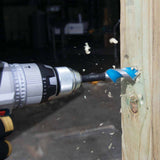 Spyder 12007 13/16-Inch x 6-1/2-Inch Auger Bit - 8